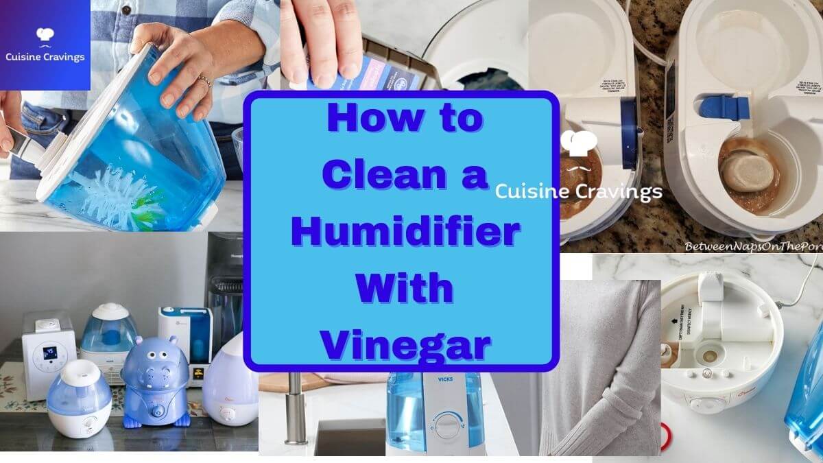 Easy Tips on How to Clean a Humidifier With Vinegar?