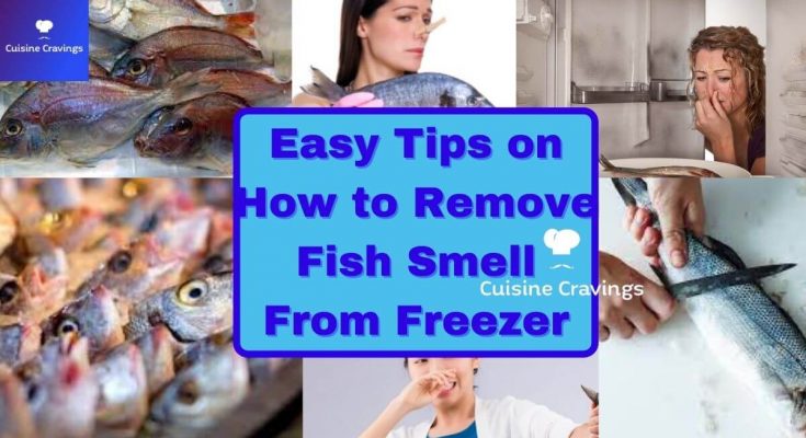 How to Remove Fish Smell From Freezer