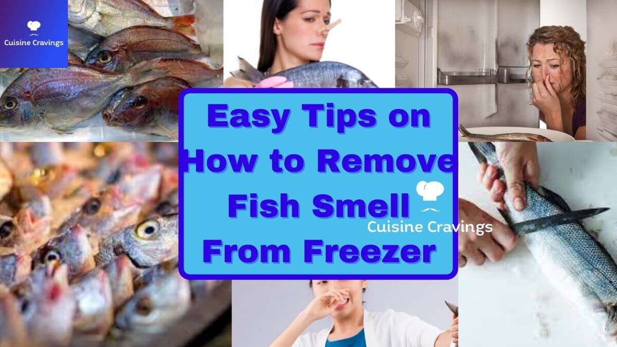 Easy Tips on How to Remove Fish Smell From Freezer?