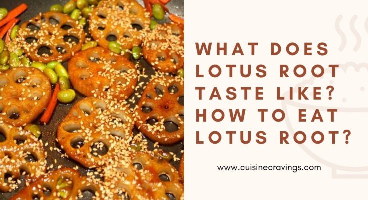 What Does Lotus Root Taste Like? How to Eat Lotus Root?
