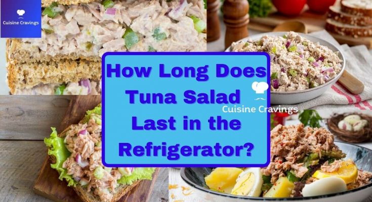 How Long Does Tuna Salad Last in Refrigerator