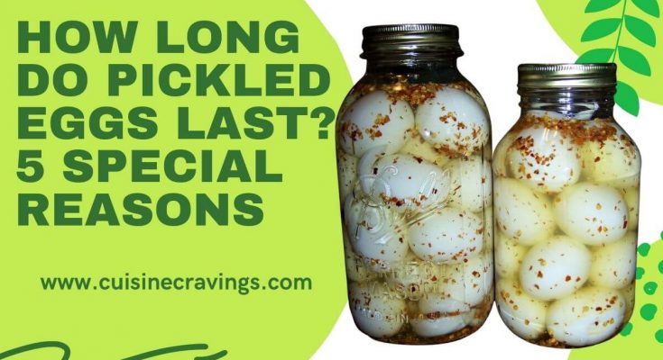 How Long do Pickled Eggs Last. Special Facts