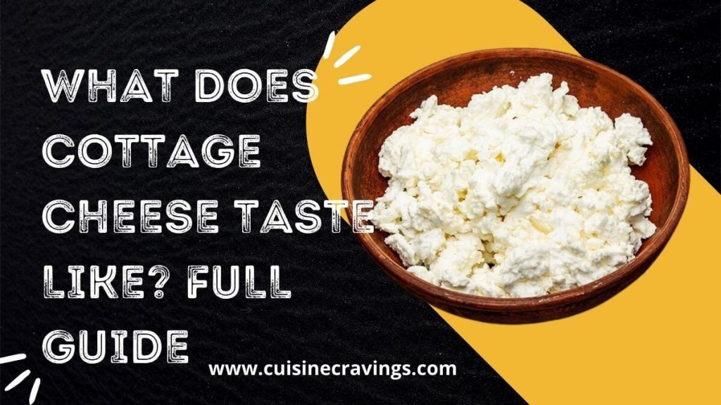What Does Cottage Cheese Taste Like. Special Guide
