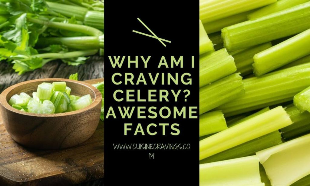 Why Am I Craving Celery Amazing Facts