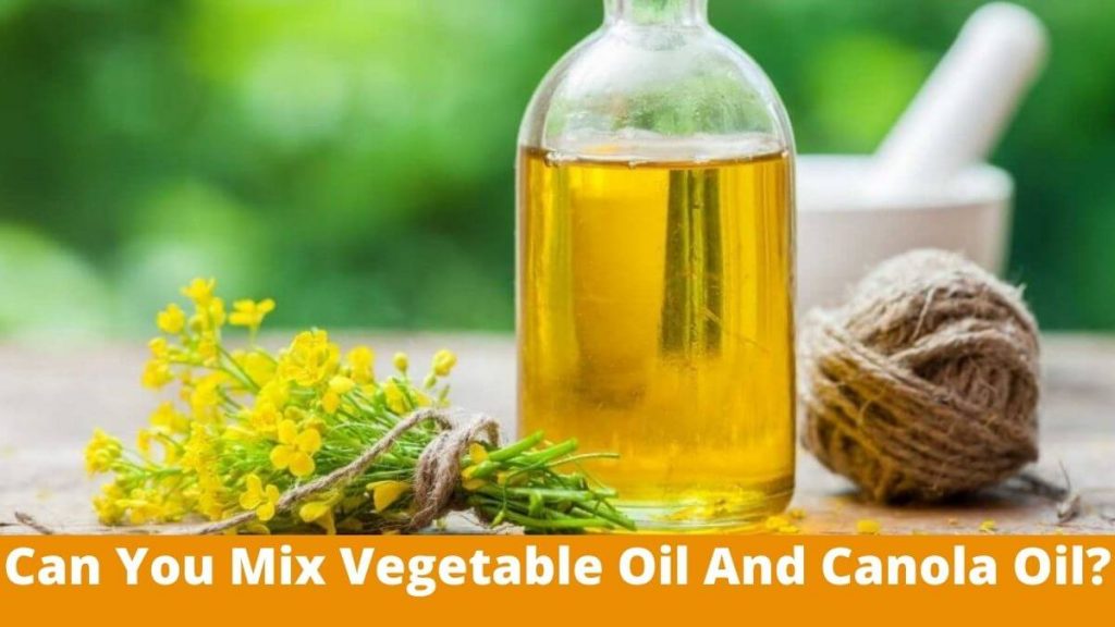 Can You Mix Vegetable Oil And Canola Oil. Full Guide