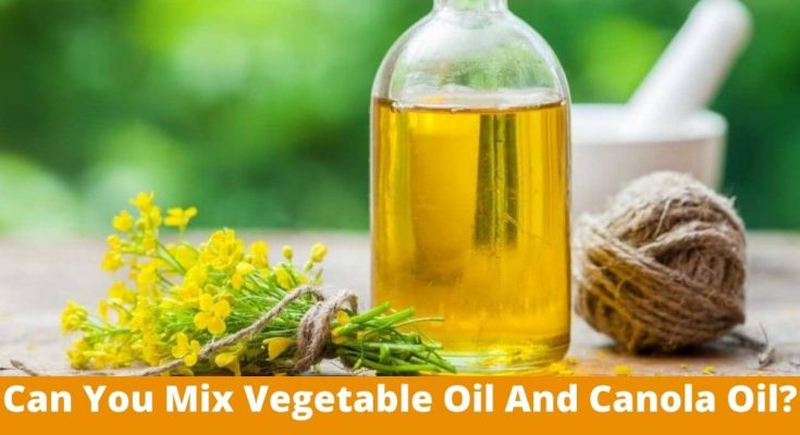 Can You Mix Vegetable Oil And Canola Oil. Full Guide