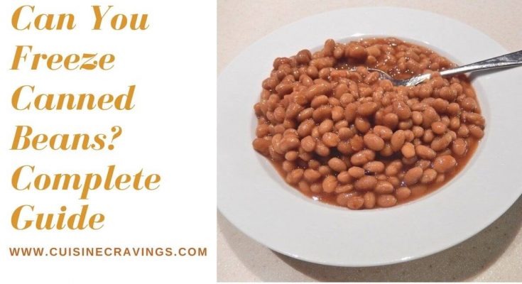 Can You Freeze Canned Beans? Complete Guide