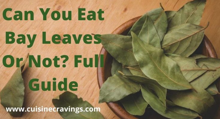 Can You Eat Bay Leaves Or Not? Full Guide