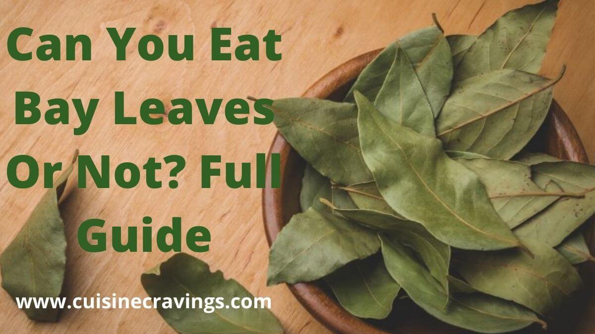 Can You Eat Bay Leaves Or Not? Full Guide