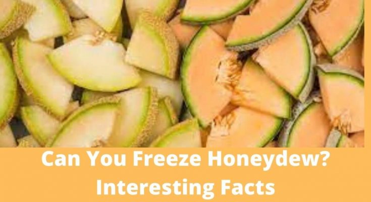 Can You Freeze Honeydew. Interesting Facts