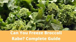 Can You Freeze Broccoli Rabe. Complete Guide