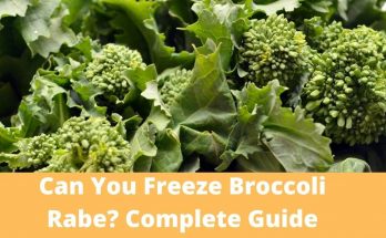Can You Freeze Broccoli Rabe. Complete Guide
