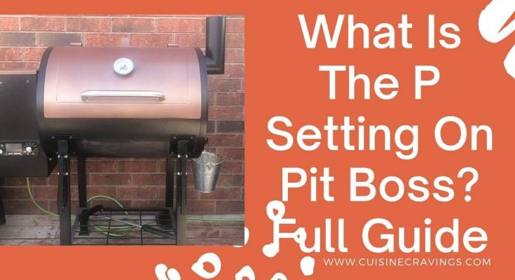 What Is The P Setting On Pit Boss. Complete Guide