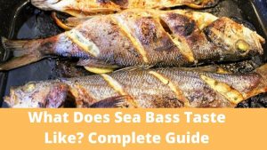 What Does Sea Bass Taste Like
