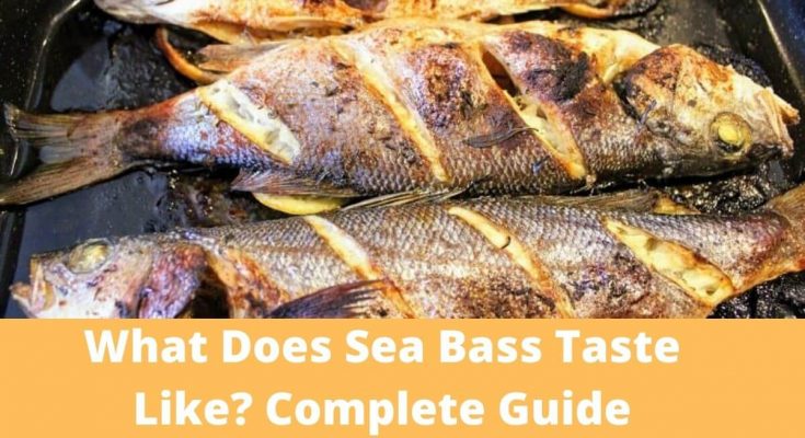 What Does Sea Bass Taste Like