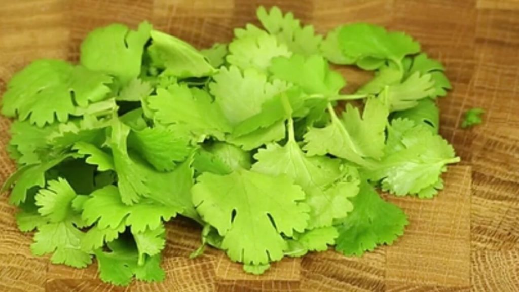 Can You Eat Celery Leaves? Full Guide