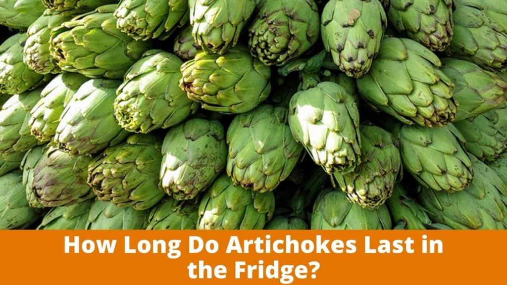 How Long Do Artichokes Last in the Fridge