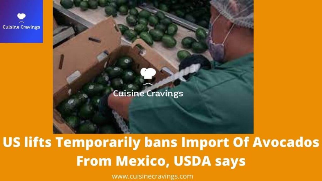 US lifts Temporarily bans Import Of Avocados From Mexico