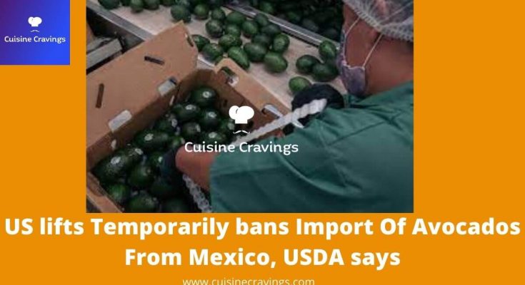 US lifts Temporarily bans Import Of Avocados From Mexico