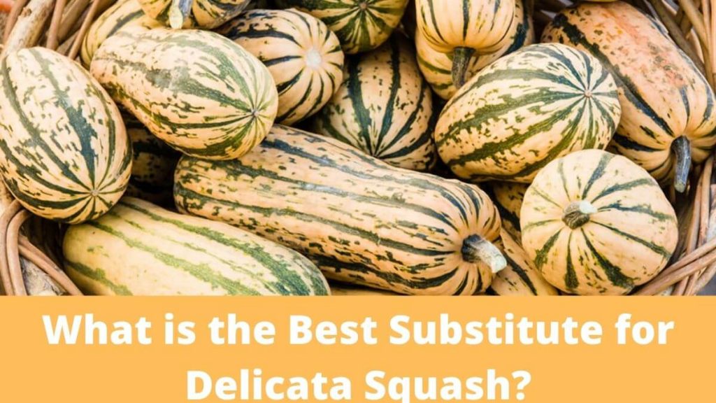 What is the Best Substitute for Delicata Squash. Complete Guide