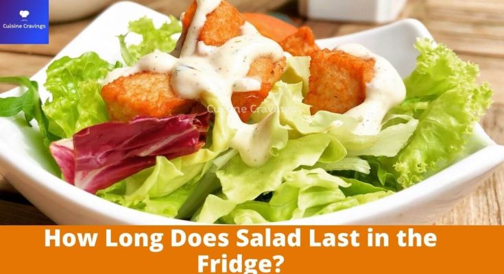 How Long Does Salad Last in the Fridge