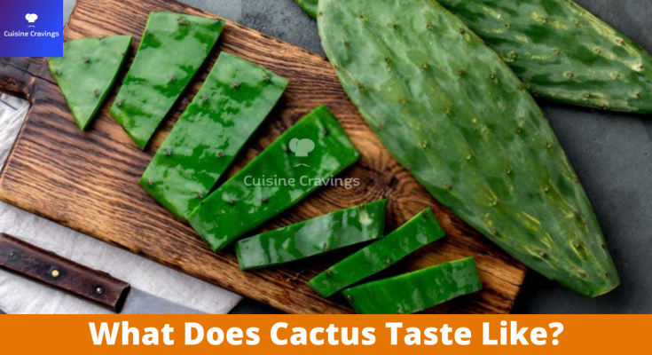 What Does Cactus Taste Like