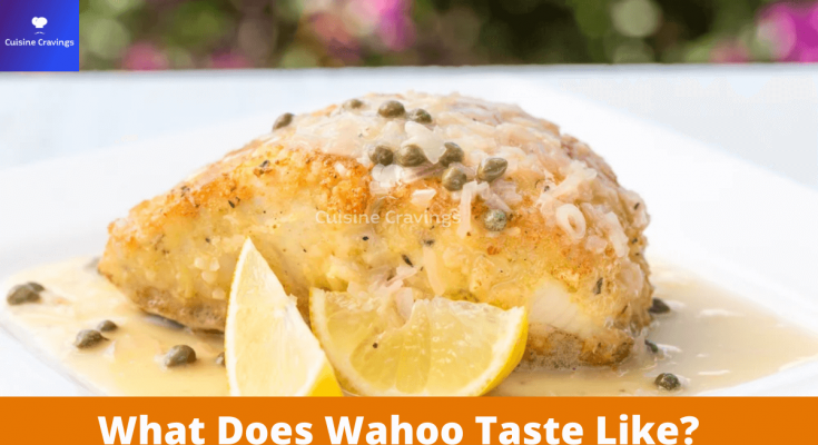 What Does Wahoo Taste Like