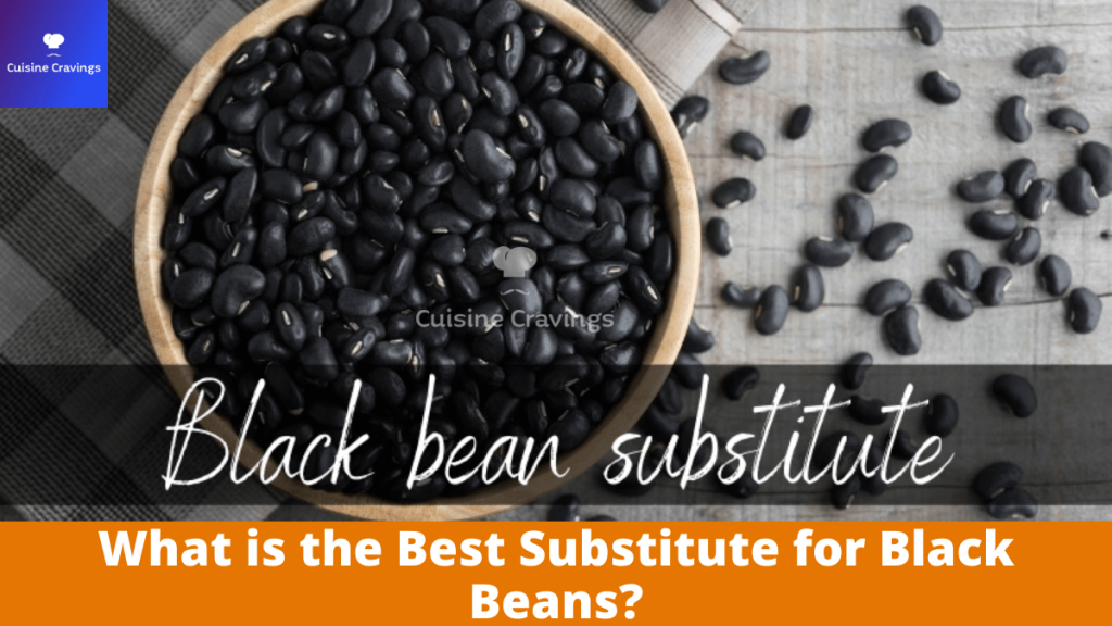 Best Substitute for Black Beans