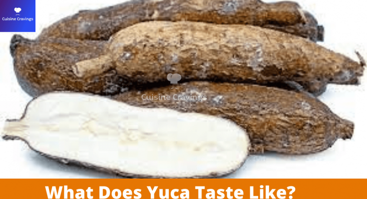 What Does Yuca Taste Like