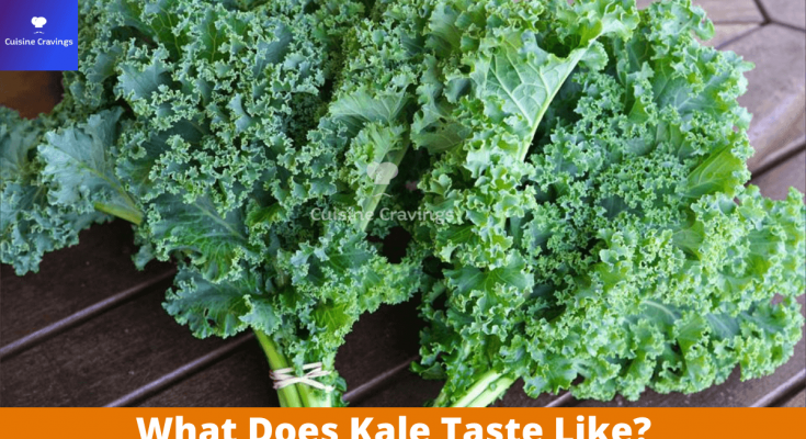 What Does Kale Taste Like