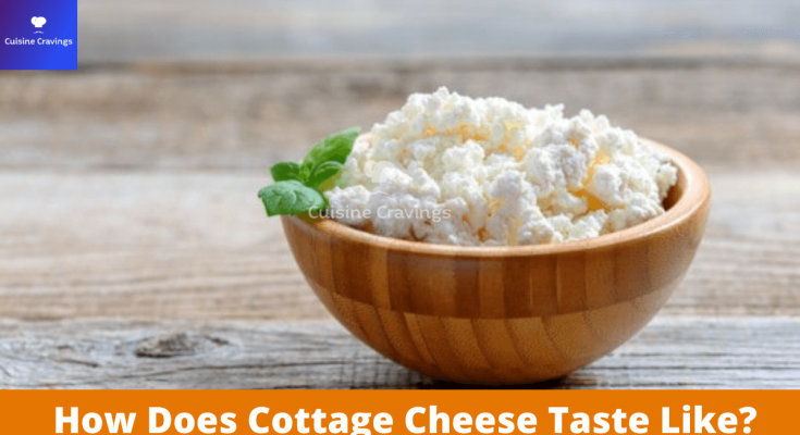 How Does Cottage Cheese Taste Like