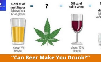 Can Beer Make You Drunk