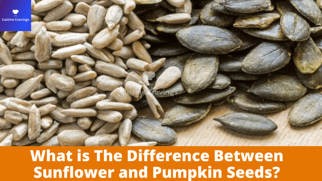 Difference Between Sunflower and Pumpkin Seeds