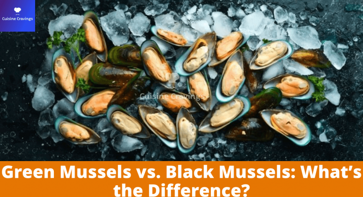 Difference Between Green Mussels and Black Mussels