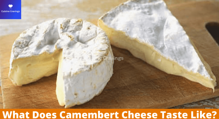 What Does Camembert Cheese Taste Like