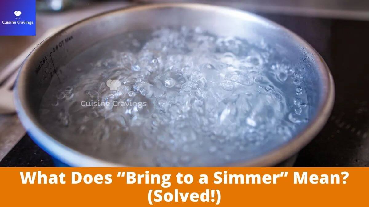 What Does “Bring to a Simmer” Mean? (Solved!)