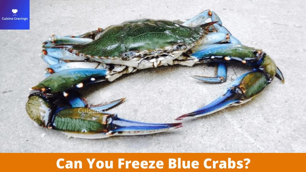 Can You Freeze Blue Crabs