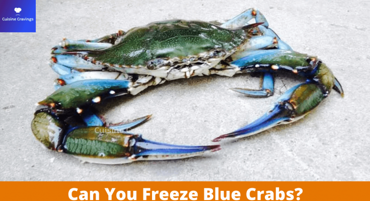 Can You Freeze Blue Crabs
