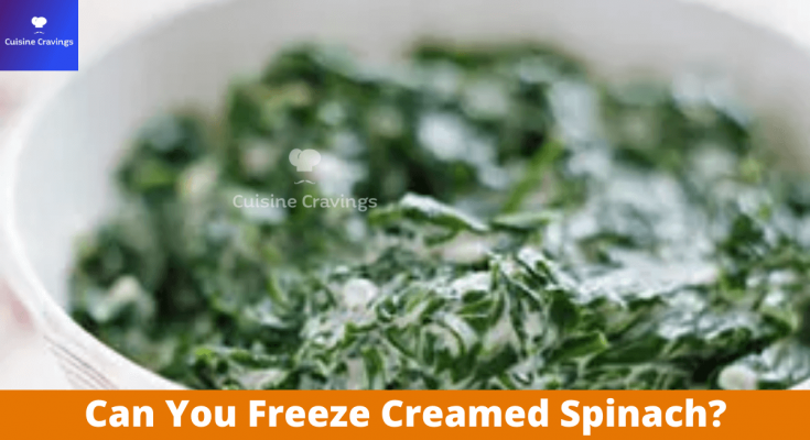 Can You Freeze Creamed Spinach