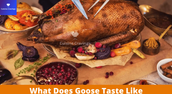What Does Goose Taste Like