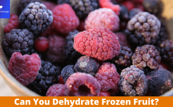 Can You Dehydrate Frozen Fruit