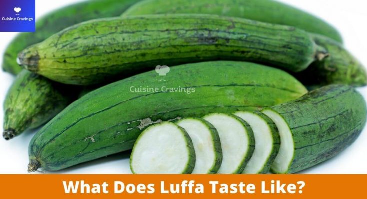 What Does Luffa Taste Like