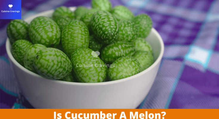 Is Cucumber A Melon