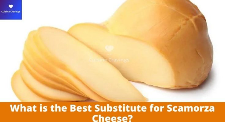 What is the Best Substitute for Scamorza Cheese