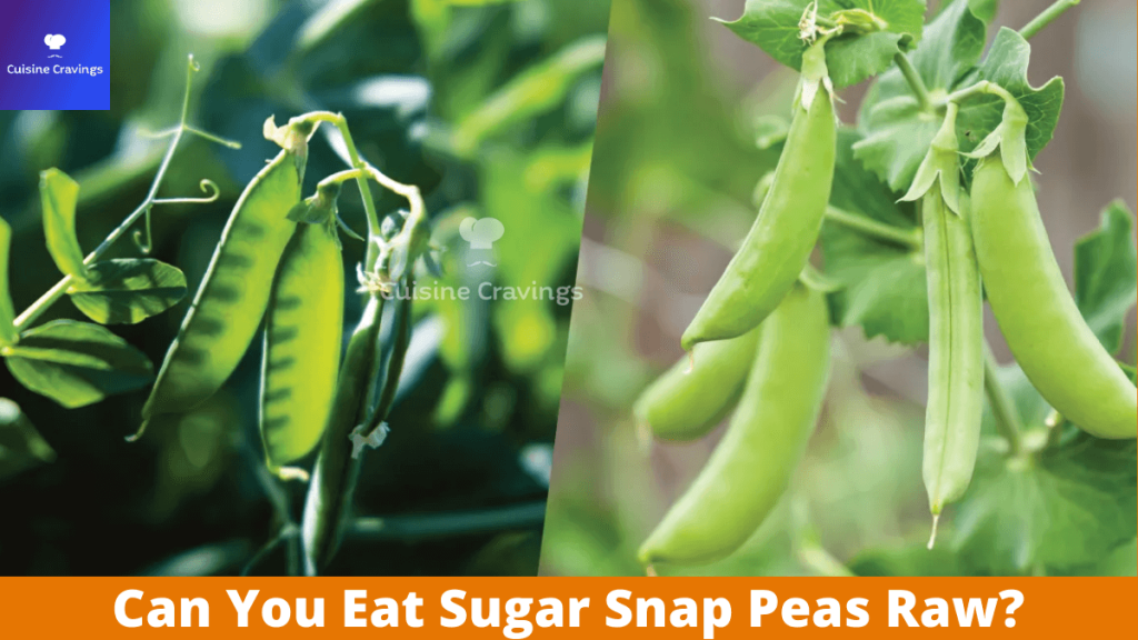 Can You Eat Sugar Snap Peas Raw