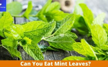 Can You Eat Mint Leaves