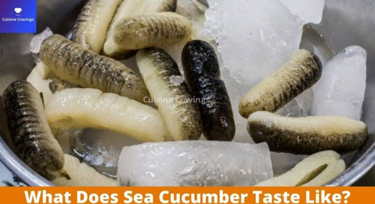 What Does Sea Cucumber Taste Like