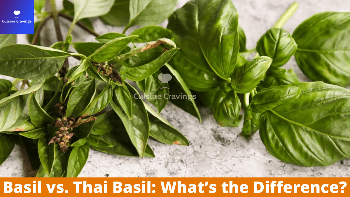 Basil vs. Thai Basil What’s the Difference?
