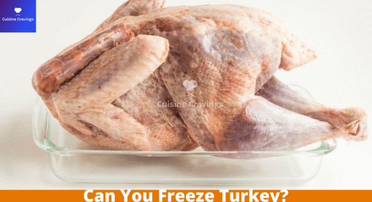 Can You Freeze Turkey