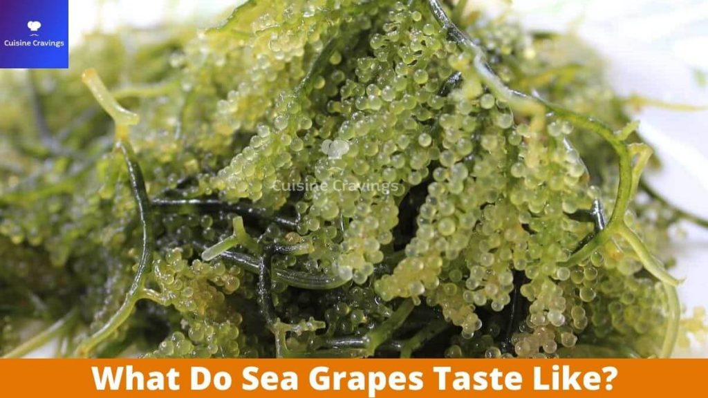 What Do Sea Grapes Taste Like